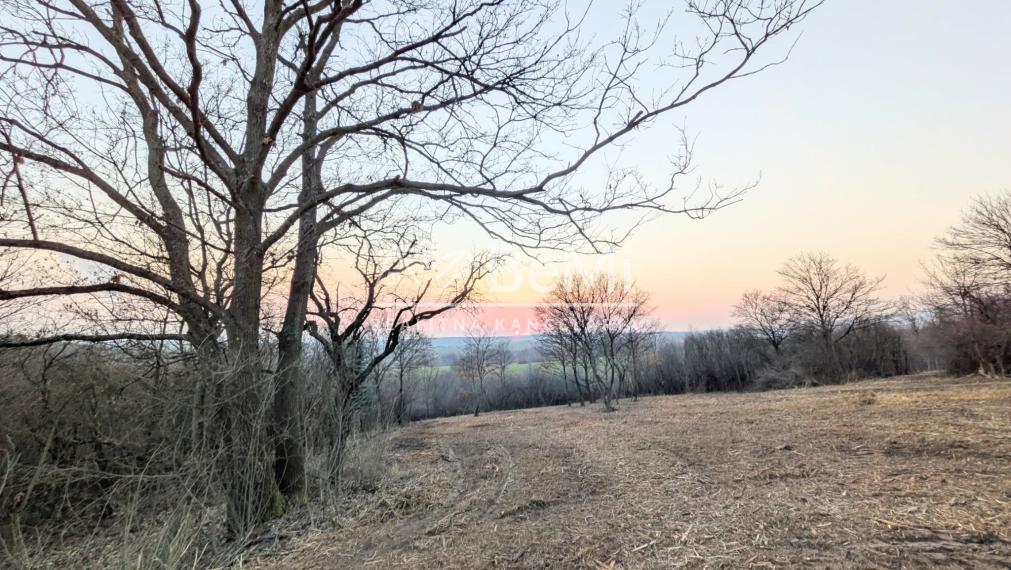 Predaj, rekreačný pozemok - Hronský Beňadik (1246-14-AFI)