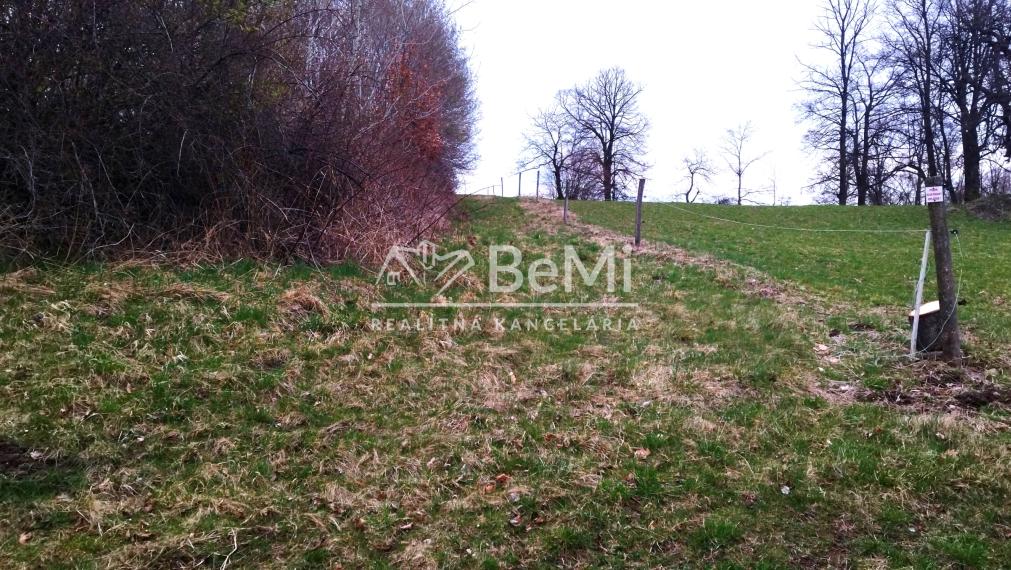 Predaj, slnečný pozemok, Jastrabá (009-14-ZOLA)