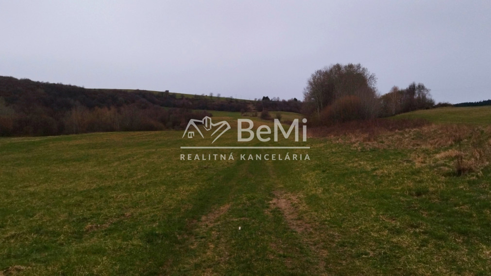 Predaj, rozľahlý pozemok- Jastrabá (011-14-ZOLA)