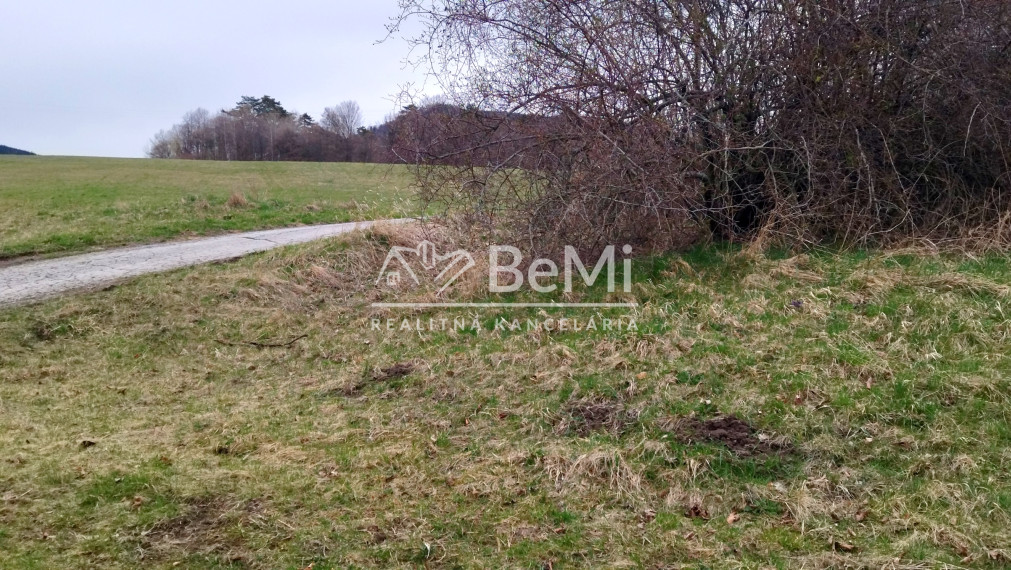 Predaj, rozľahlý pozemok- Jastrabá (011-14-ZOLA)