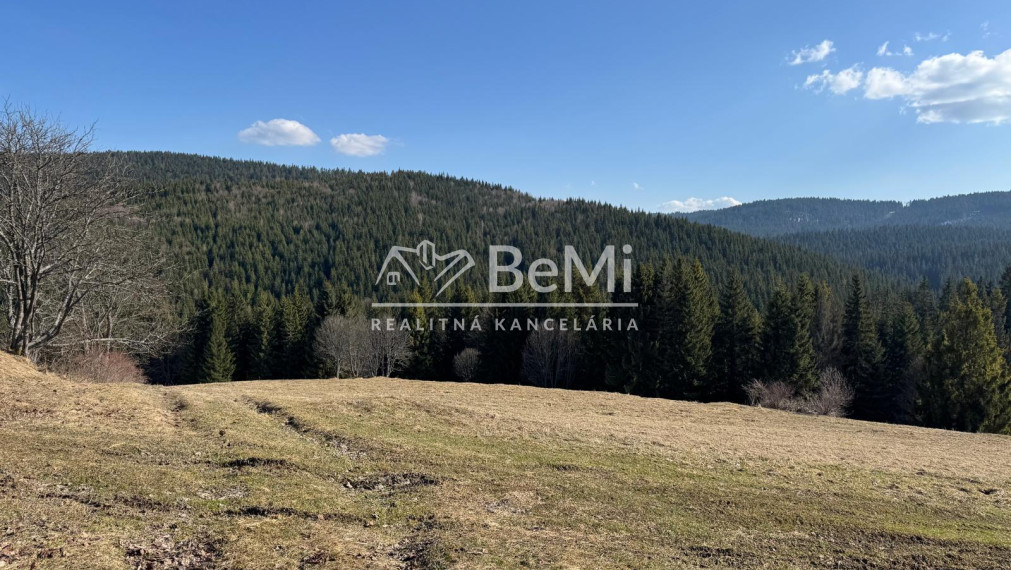 NA PREDAJ CHATA V OBCI ORAVSKÁ LESNÁ