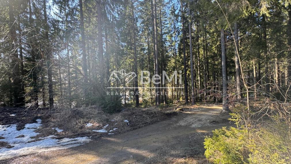 NA PREDAJ CHATA V OBCI ORAVSKÁ LESNÁ