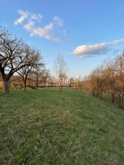 DOM / CHALUPA POD LESOM – JAZIERKO, POZEMOK 5000 m²