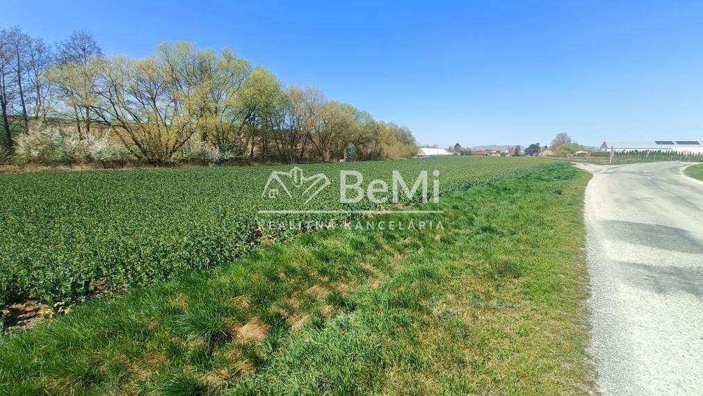 Lukratívny pozemok pre IBV, Bánovce nad Bebravou, 7297m2. 013-14-RAKOa