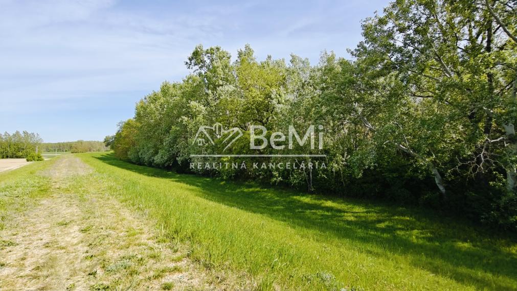 Stavebný pozemok - Vlčany okr.Šaľa 800M2 (027-14-JANS)