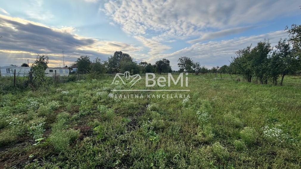 Predaj, rodinný dom s pozemkom 3053 m² - Malé Kozmálovce (010-12-SIHA)