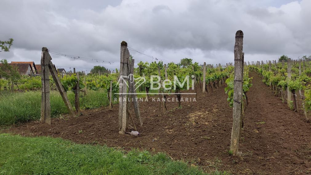 Predaj, viničný domček s vinicou a krásnym výhľadom - Podlužany (014-13-SIHA)