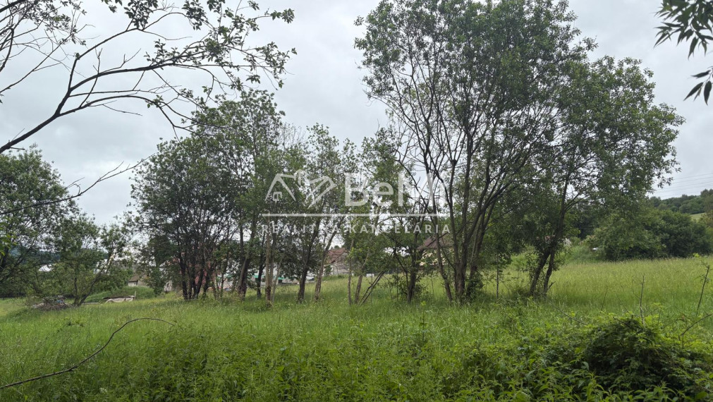 Predaj: Stavebný pozemok ,699m2, Skalité, Čadca(267-14-MACH)
