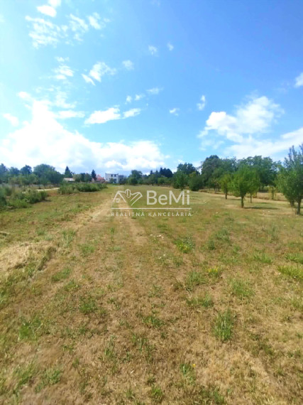 Pozemok s rodinným domom o výmere 3 671 m² v obci Jelenec