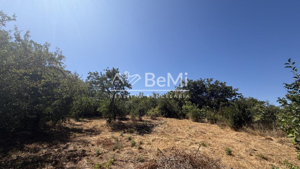 Zrekonštruovaný dom v obci Forró , Maďarsko za 46000,-Eur