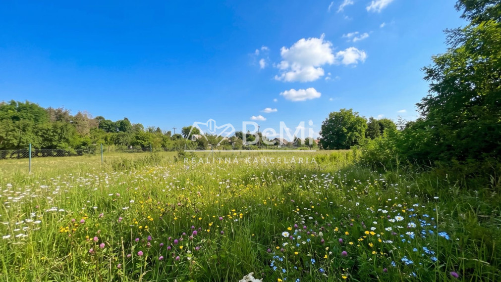Investičný rozľahlý pozemok 3239 m2, Dudince-Merovce