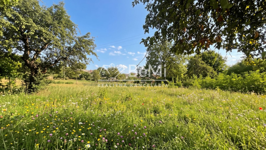 Investičný rozľahlý pozemok 3239 m2, Dudince-Merovce