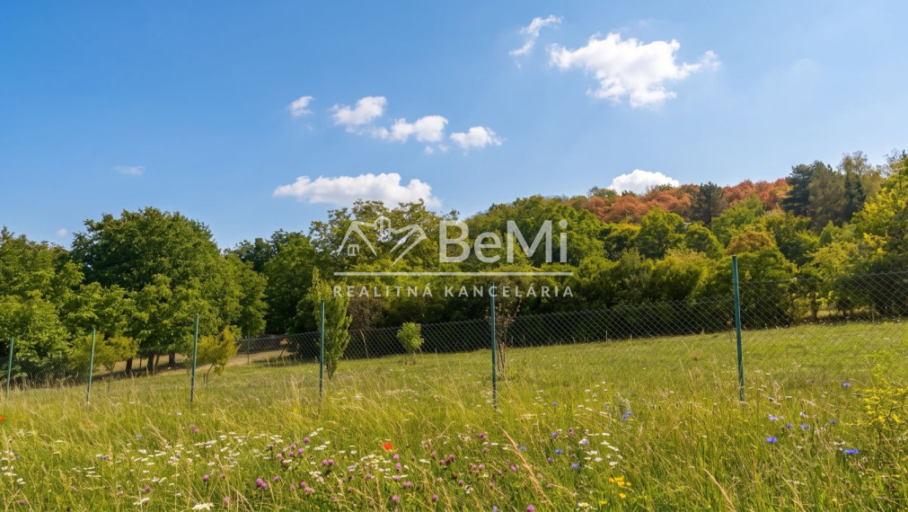 Investičný rozľahlý pozemok 3239 m2, Dudince-Merovce
