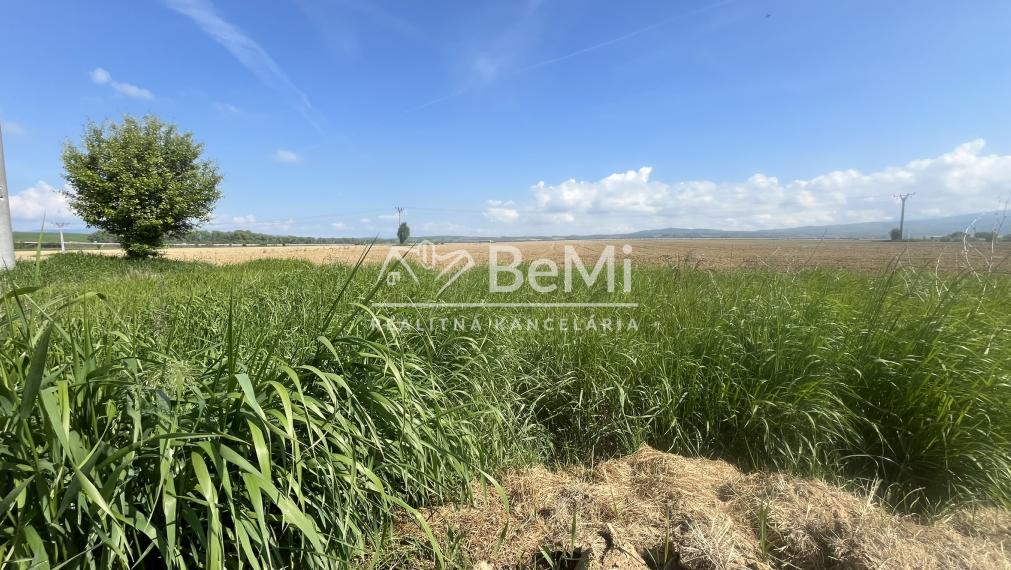 Invevstičný, rovinatý pozemok 5002 m2, Zvolenská Slatina 3D
