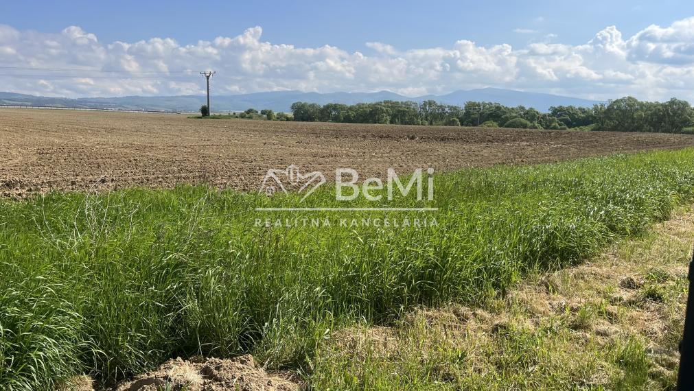 Invevstičný, rovinatý pozemok 5002 m2, Zvolenská Slatina 3D