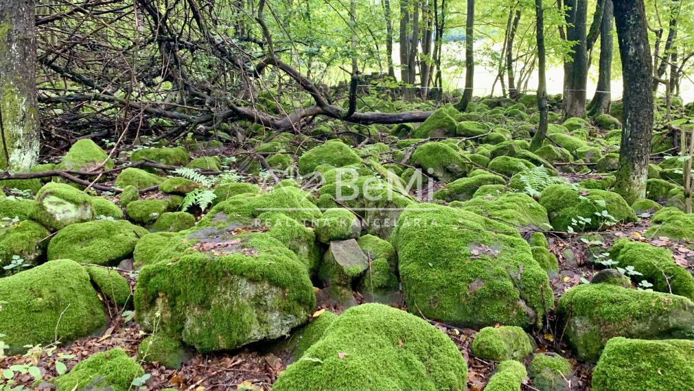 Pozemok pre mobilný dom 3970 m2, polosamota, Michalková