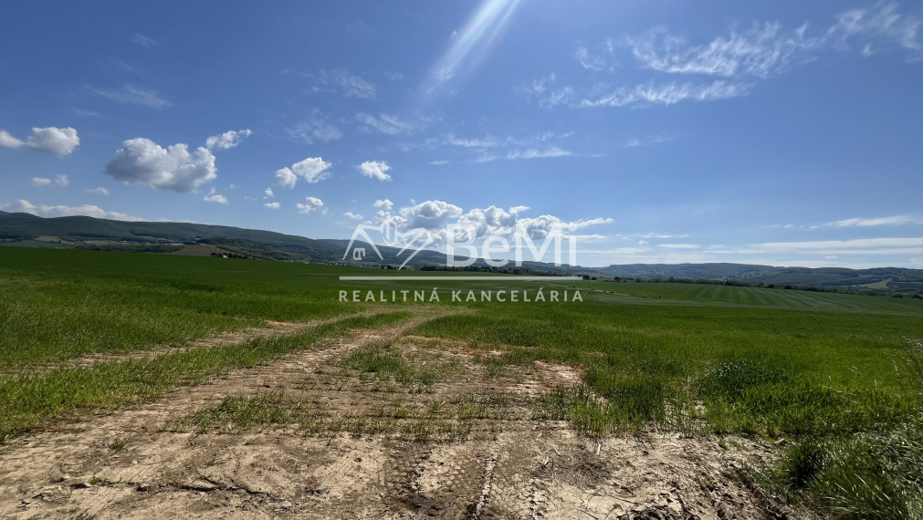 Rovinaté pozemky 7700m2 Sása, Zvolen