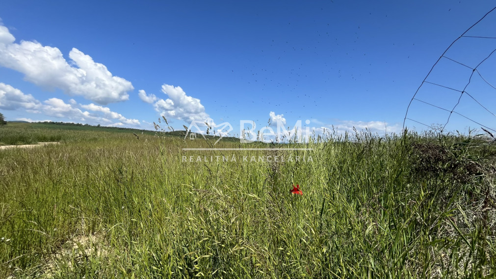 Rovinaté pozemky 7700m2 Sása, Zvolen