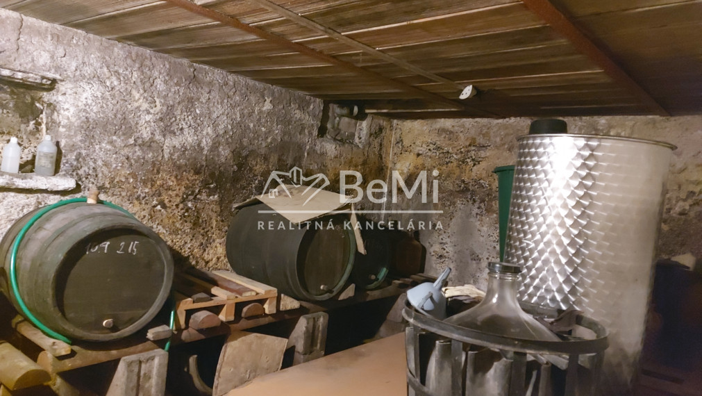 Predaj viničný domček s veľkým pozemkom 3829m2, Vráble(255-13-JUF)