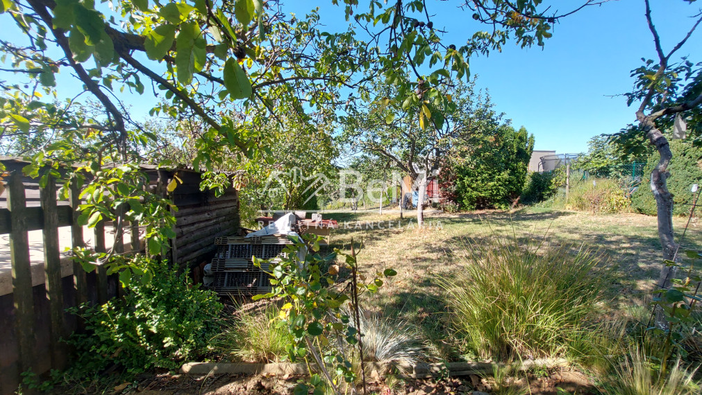 Predaj viničný domček s veľkým pozemkom 3829m2, Vráble(255-13-JUF)