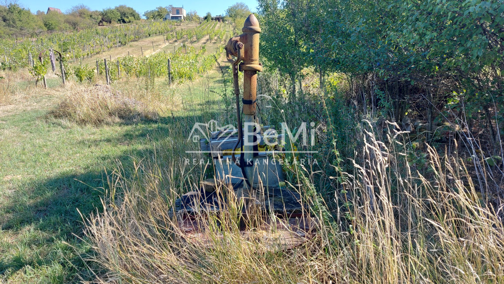 Predaj viničný domček s veľkým pozemkom 3829m2, Vráble(255-13-JUF)