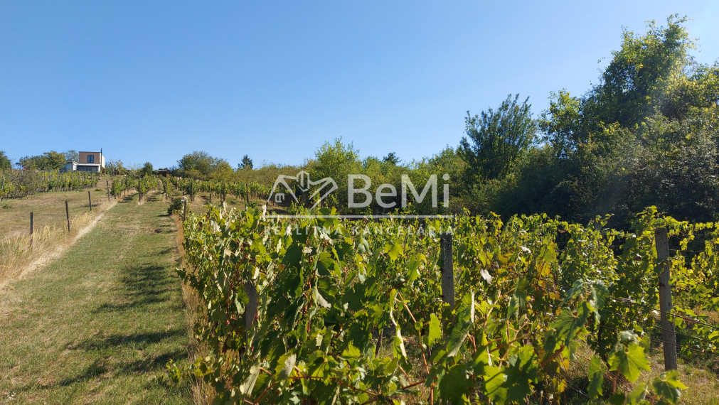 Predaj viničný domček s veľkým pozemkom 3829m2, Vráble(255-13-JUF)