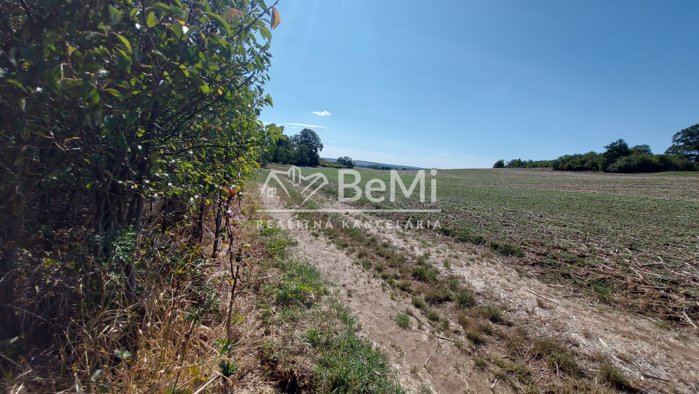 Predaj viničný domček s veľkým pozemkom 3829m2, Vráble(255-13-JUF)