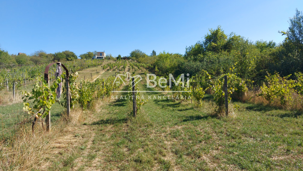 Predaj viničný domček s veľkým pozemkom 3829m2, Vráble(255-13-JUF)