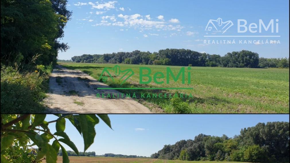 Rekreačný POZEMOK...103.922m2...ČIERNY BROD...Ostrov (114-14-DAR)