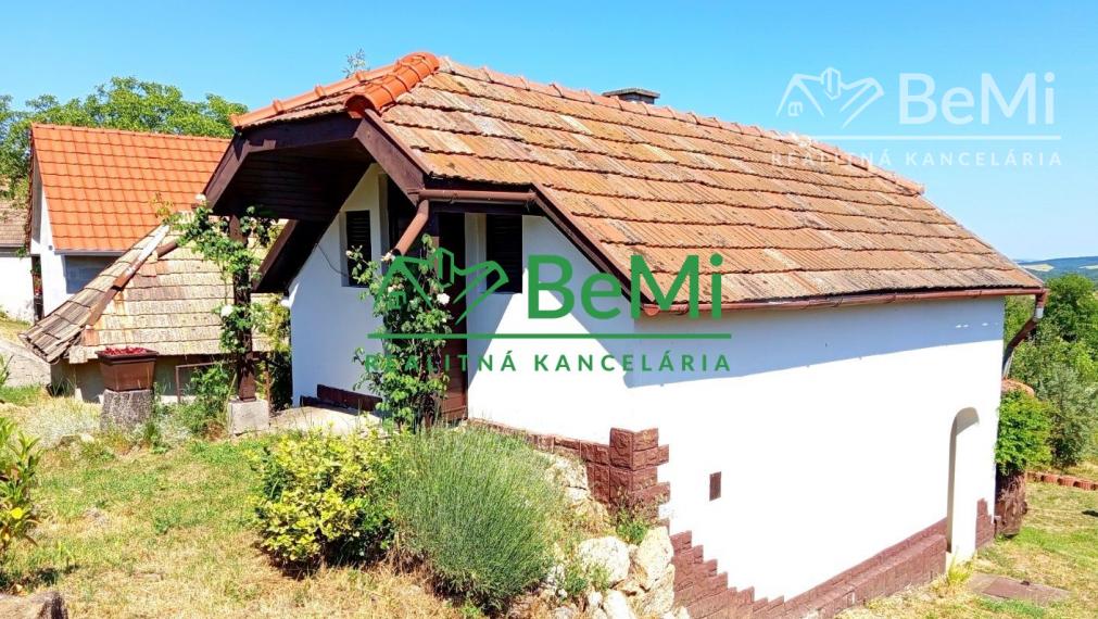 Predaj viničného domu s vinicou - Mýtne Ludany (046-12-HEKAa)