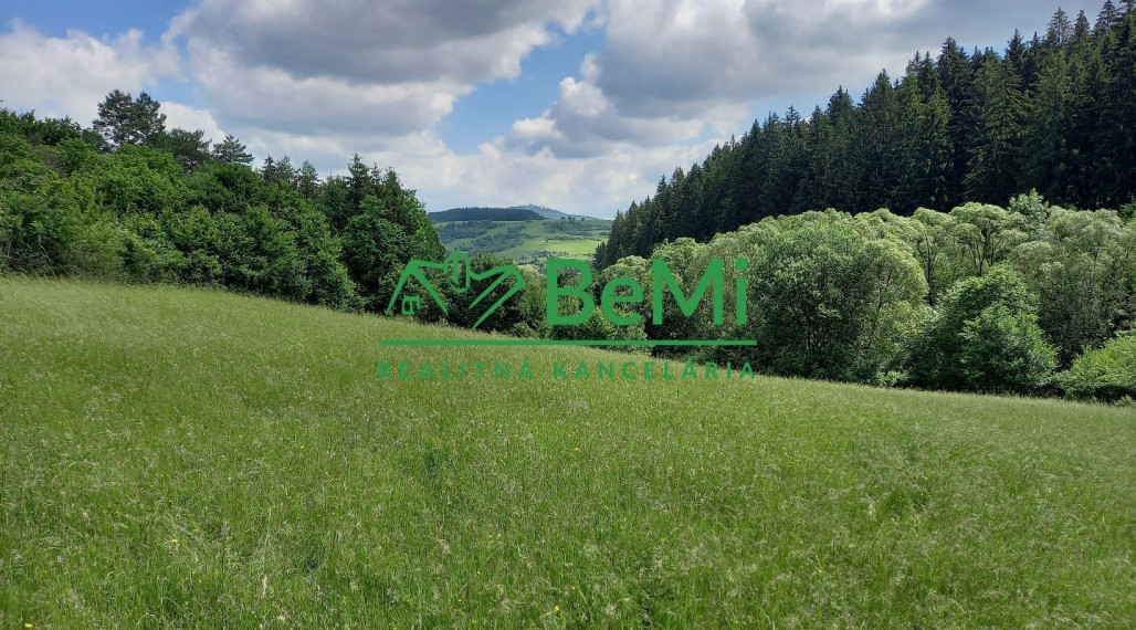 Predaj: Pozemok 7559m2,  Dolný Hričov - Peklina (005-14-BOC)