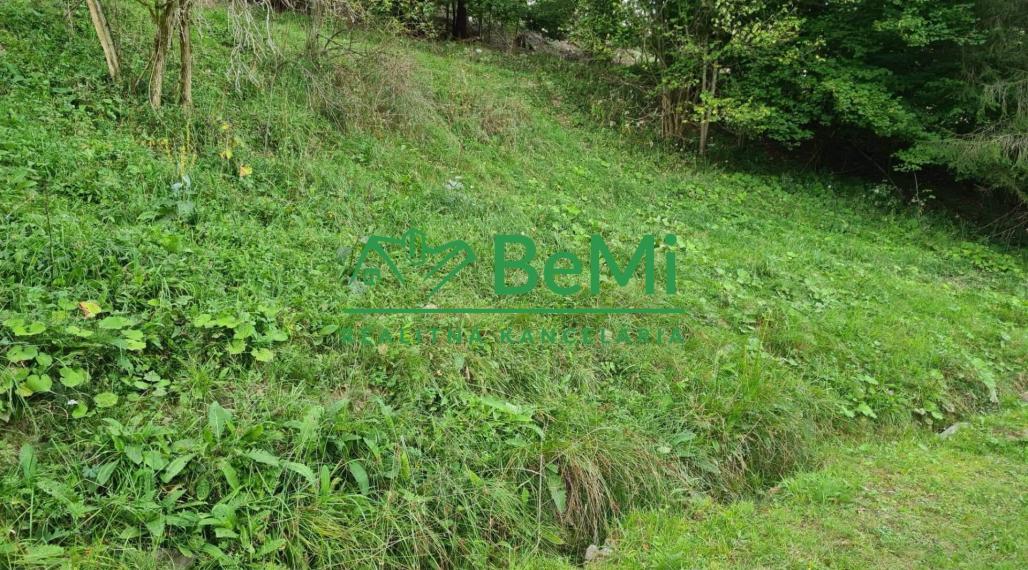 Predaj, pozemok, 3385m2, Turzovka - Turkov, okr: Čadca (728-14-JAS)