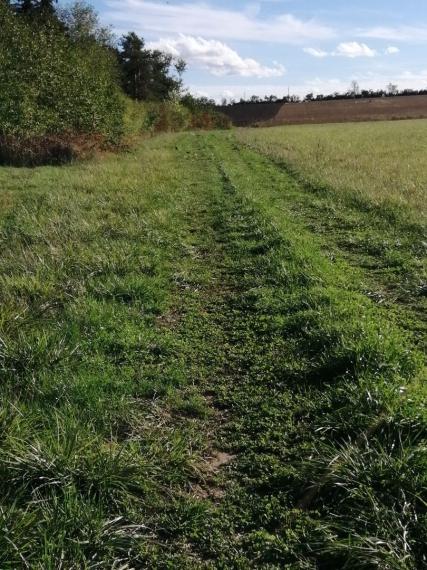 Exkluzívne len u nás! Krásny pozemok na predaj v obci Sačurov