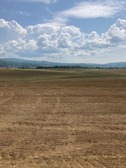 Rovinaté pozemky Sása, Zvolen