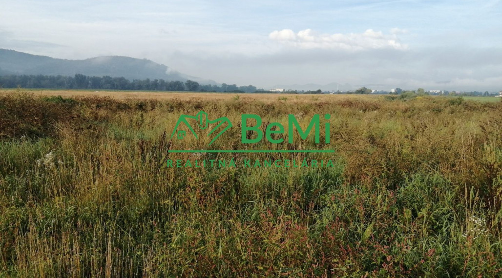 Predaj: investičný pozemok,90 841m2, Kotešová (205-14-MACHa)