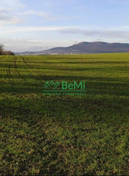 0017-14-PAMA Ponúkame na predaj pozemok poľnohospodársku pôdu v Nitre -2889 m2