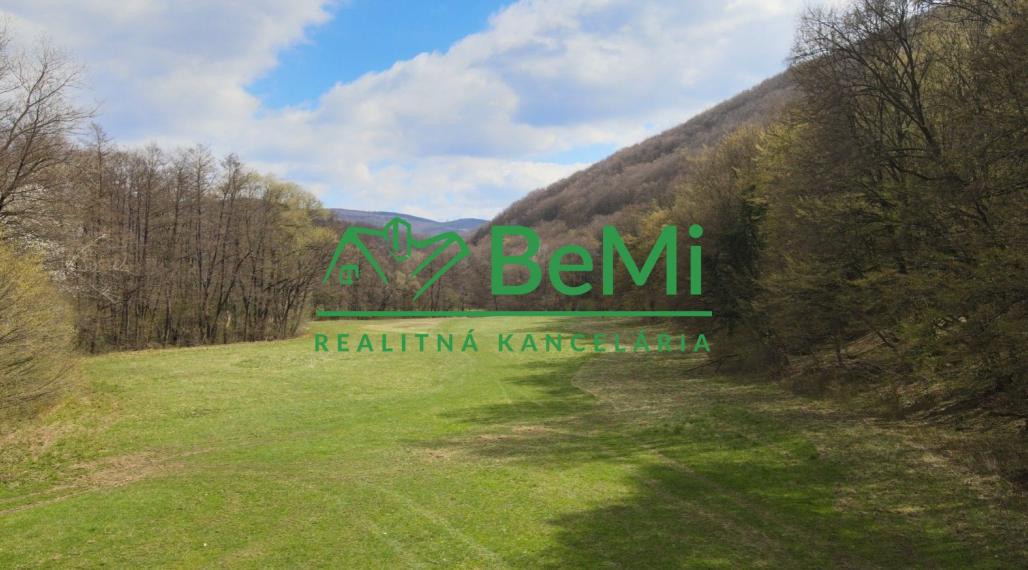 Na predaj lukratívny pozemok na chov rýb - Horná Ves