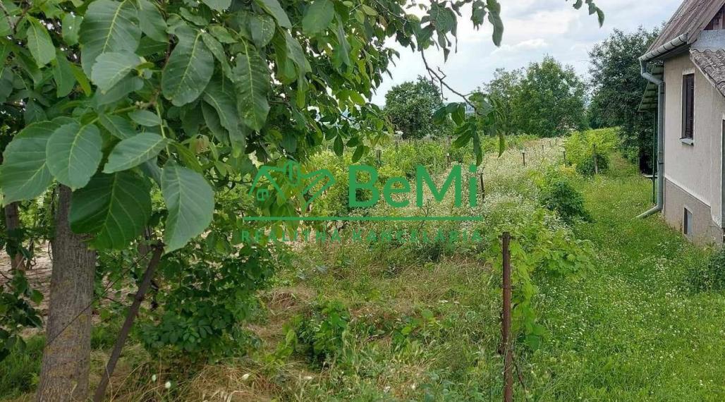 Predaj vinica podiel 1/4 Čechynce pri Nitre, (180-13-ERF)