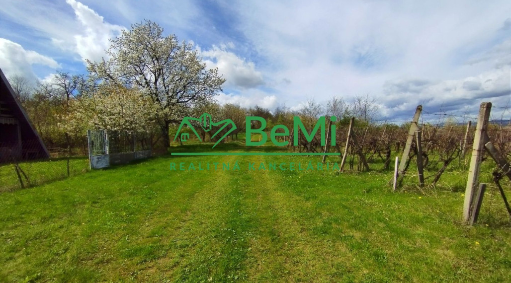 Vinica-Slovenské Kľačany-predaj