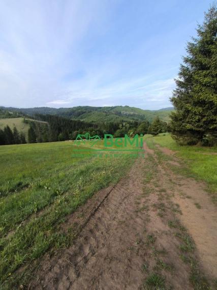 Pozemok Turzovka - Turkov, okres Čadca, 718m2