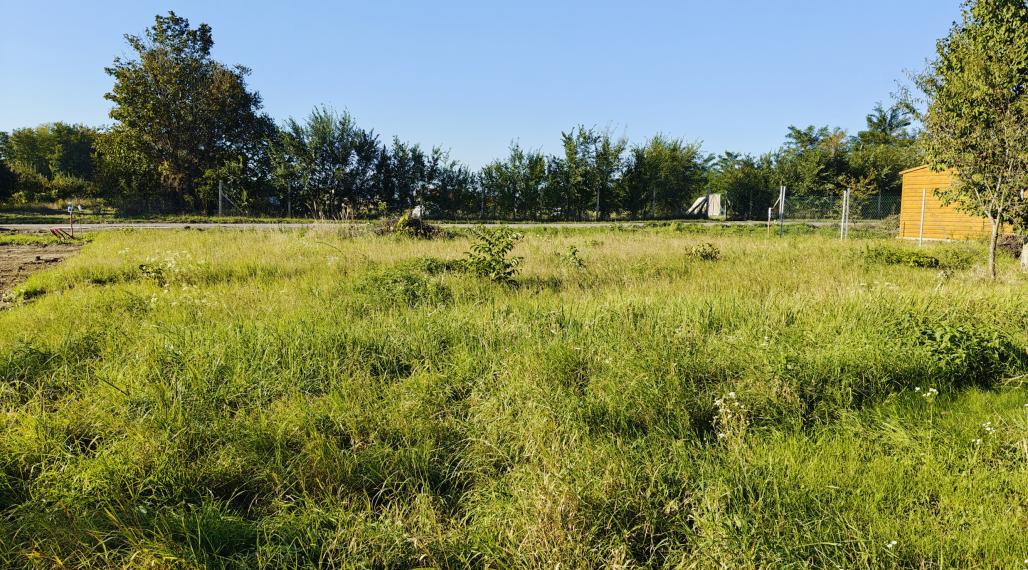 Predaj rekreačný pozemok -  Čechynce (004-14-JANS)