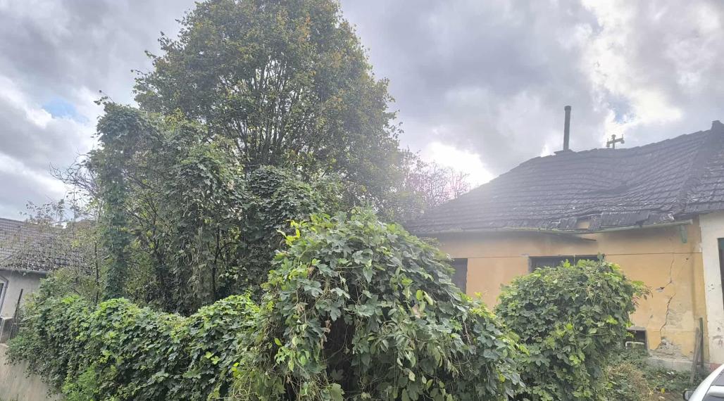 Na predaj – starý rodinný dom s veľkým pozemkom, Čachtice