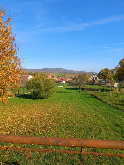 Pozemok - Ardanovce, všetky siete na pozemku. Piešťany -13km