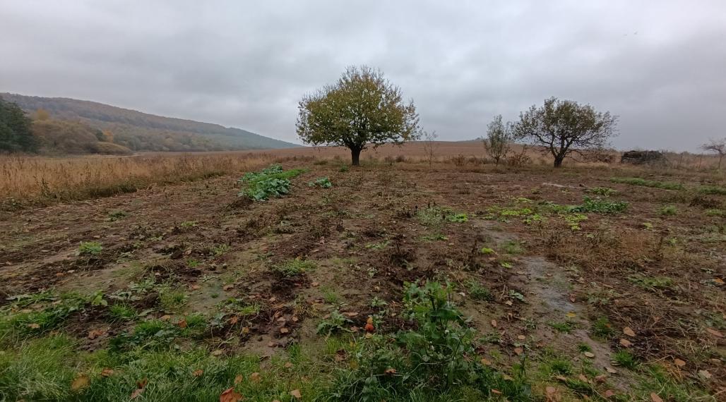 Pozemok 3500 m2 s domom v obci Hernádvecse-39900,-Eur