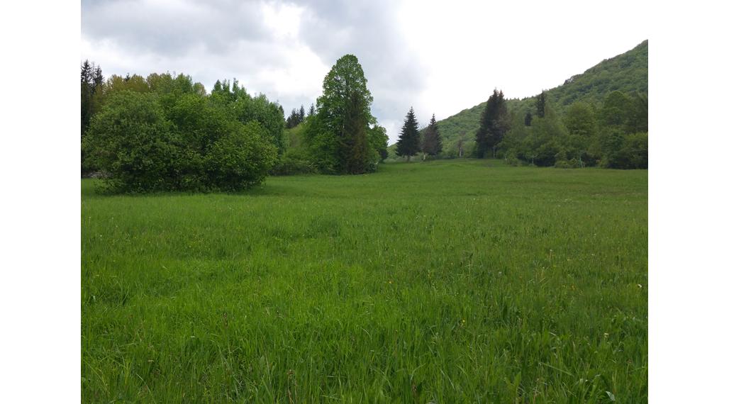 Pozemok na rekreačný objekt v obci Belá,okr. Žilina, 1660m2