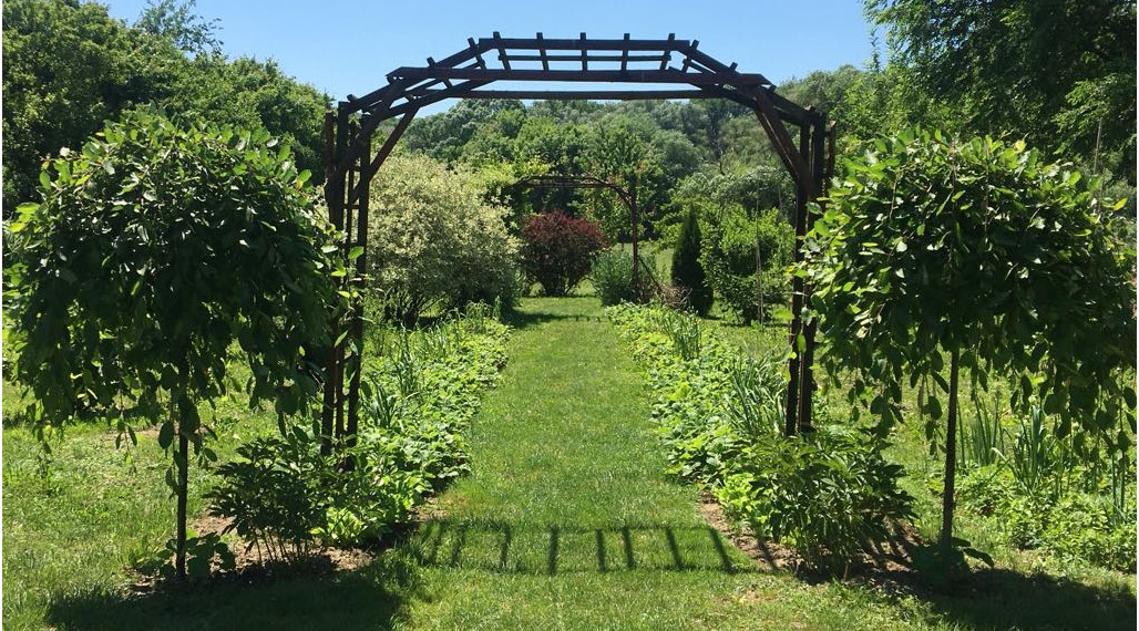 Pozemok 7 400 m² len 19 km od hranice Košíc!