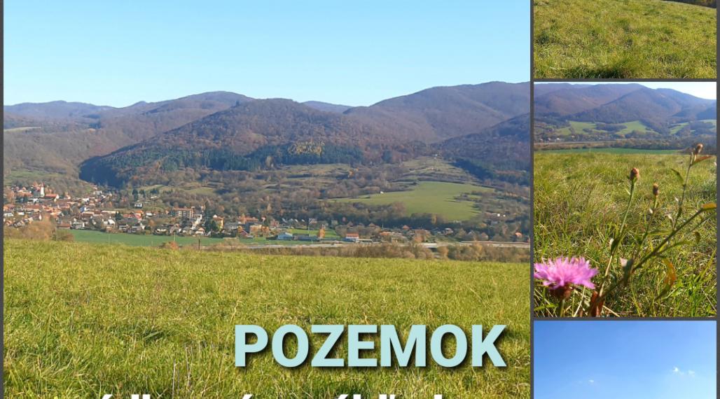 POZEMOK s nádherným výhľadom...Orovnica (ID 177-14-DAR)