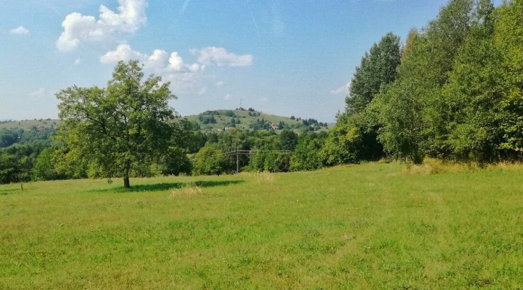 Predaj, rozľahlý slnečný pozemok- Nová Baňa (004-14-ZOLAa)