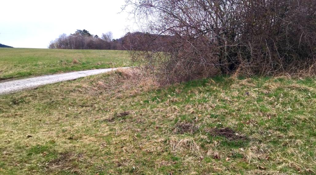 Predaj, slnečný pozemok, Jastrabá (009-14-ZOLA)