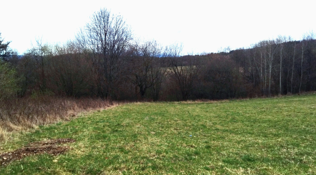 Predaj, rozľahlý pozemok- Jastrabá (011-14-ZOLA)